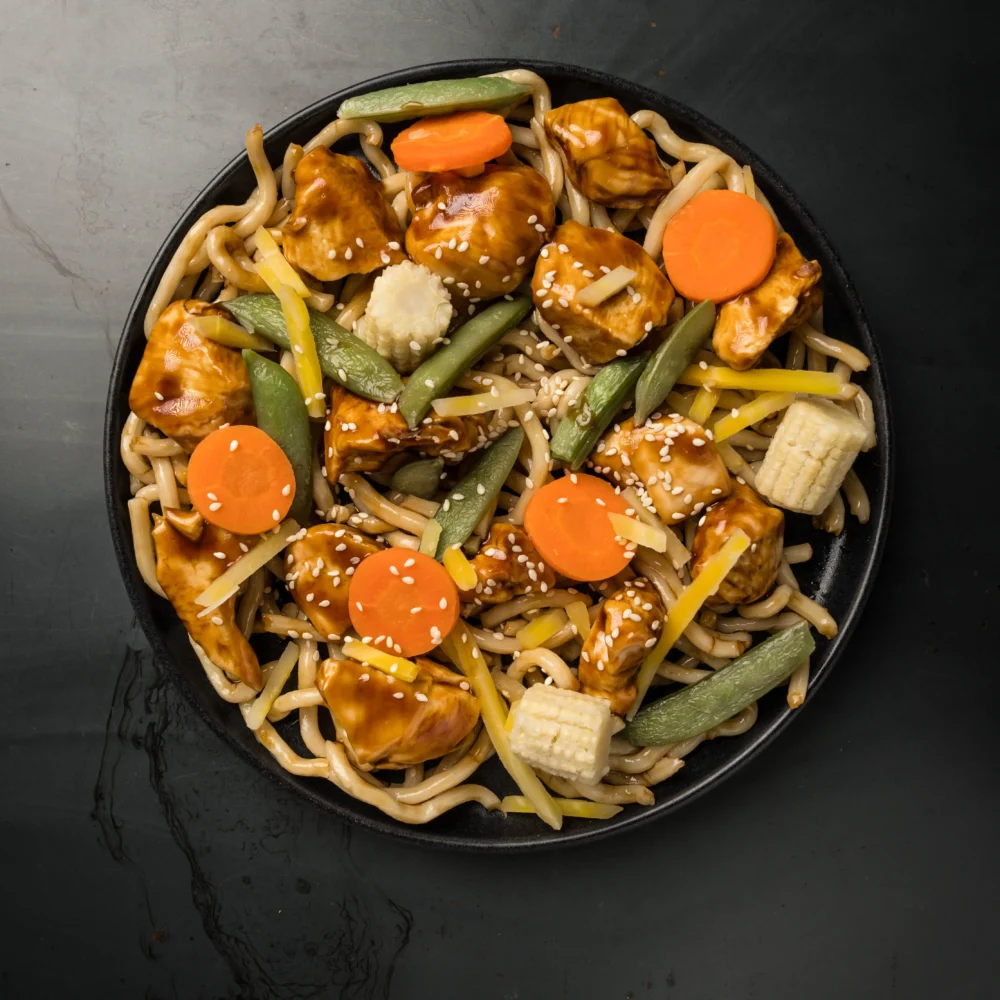 Kip Teriyaki met Udon Noodles en Wokmix - 500 gram